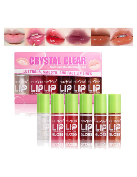 Aceite Labial Hidratante 6 Colores SHENZHEN NIYASI 49.61g