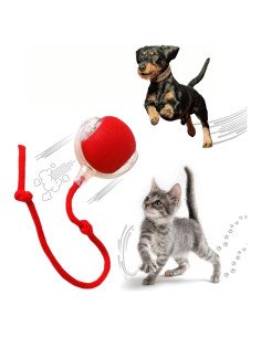 Juguete Interactivo para Gatos y Perros Speedy Tail 2.0
