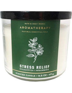 Vela Aromaterapia Eucalipto Menta Baño y Cuerpo Trabaja 411g 2