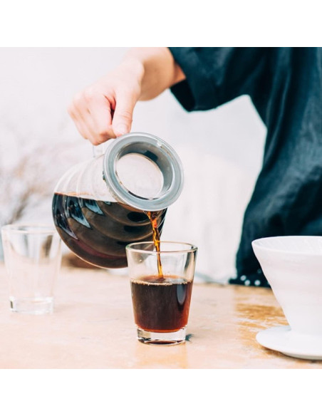 Servidor de Café de Cristal Hario 600ml Resistente al Calor