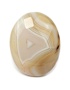 Piedra de Palma Ágata de Cinta Eusice 11x6x3cm Antiestrés