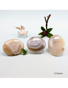 Piedra de Palma Ágata de Cinta Eusice 11x6x3cm Antiestrés 2