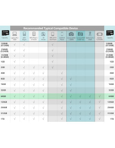 Tarjeta Micro SD 64GB Lerdisk U3 A1 V30 10-Pack con Adaptador 2