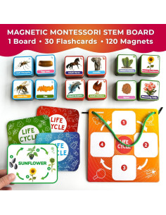 Kit Magnético de Ciclo de Vida QUOKKA - 120 Tarjetas Didácticas 2