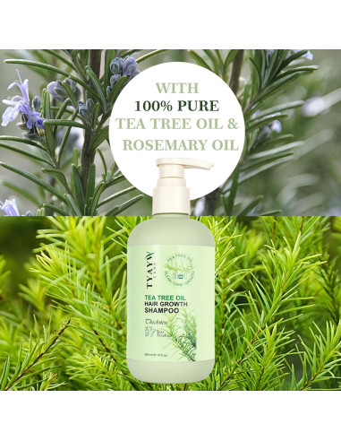 Champú Engrosante Romero y Árbol de Té 300ml JINGDAIBURY