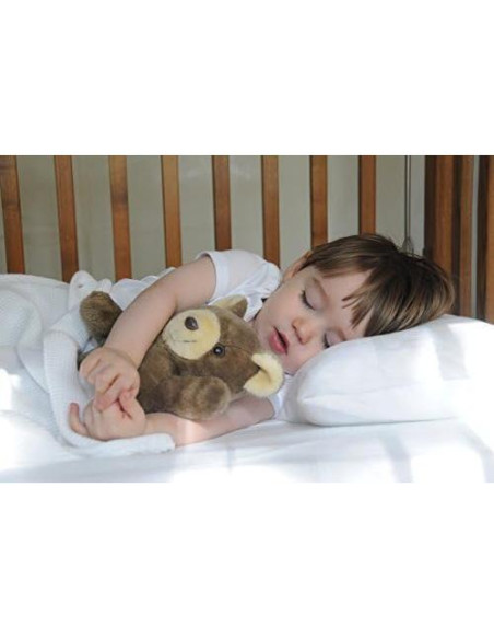 Funda de Almohada de Viaje 35.6x50.8 cm Om Bedding Rojo