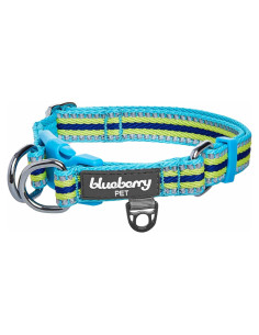 Collar de Perro Reflectante Blueberry Pet Pequeño 30-40 cm