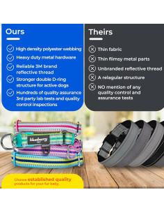 Collar de Perro Reflectante Blueberry Pet Pequeño 30-40 cm 2