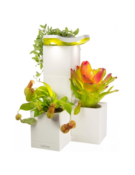 Maceta Interior LeGrow con Luz LED y Autorriego 2 Piezas