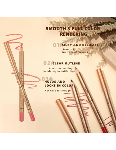 Juego de Lápices de Labios 12 Colores DENESTUP Alta Pigmentación