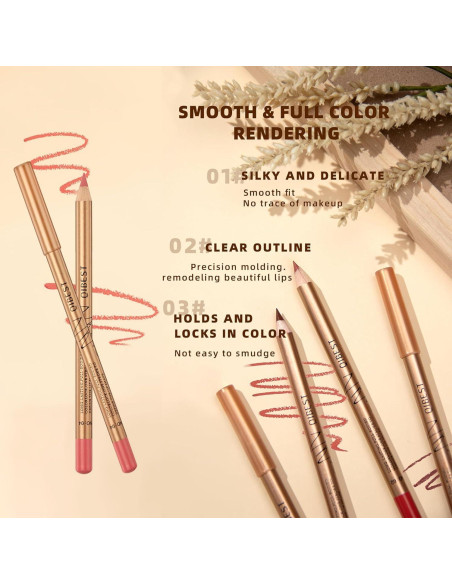 Juego de Lápices de Labios 12 Colores DENESTUP Alta Pigmentación