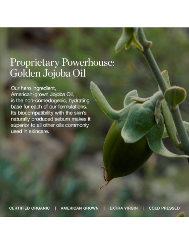 Corrector de Ojos Ogee 2.90N HAZEL Orgánico Cobertura Completa