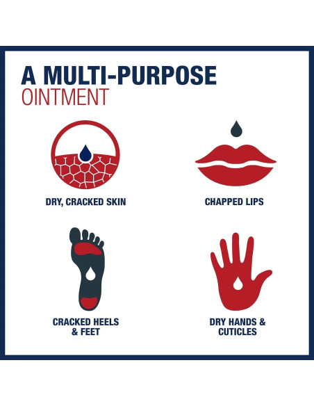 Ungüento Sanador Aquaphor, Terapia Avanzada, 24 Paquetes de 10 g