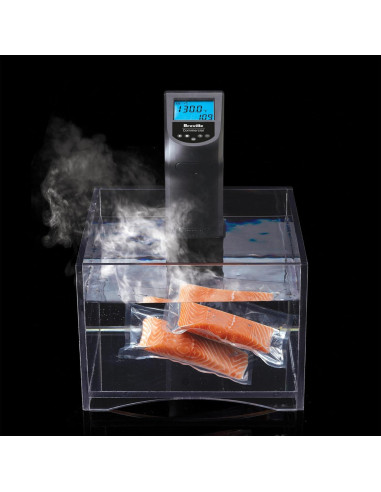 Circulador de inmersión Sous Vide Breville CRC-5AC1B 1100W Negro