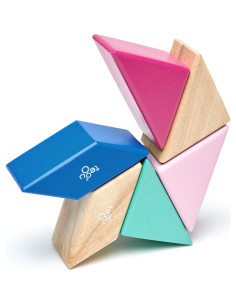 Juego de Bloques Magnéticos Tegu Floración 6 Piezas 15x8.9 cm 2