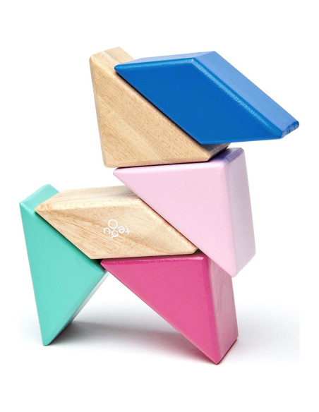 Juego de Bloques Magnéticos Tegu Floración 6 Piezas 15x8.9 cm