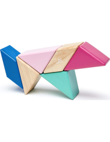 Juego de Bloques Magnéticos Tegu Floración 6 Piezas 15x8.9 cm