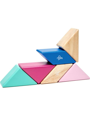 Juego de Bloques Magnéticos Tegu Floración 6 Piezas 15x8.9 cm