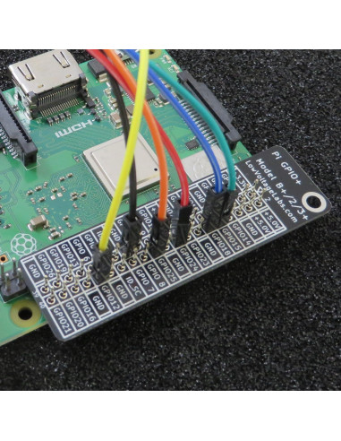 Placa de referencia GPIO Plus Low Voltage Labs - Paquete de 2