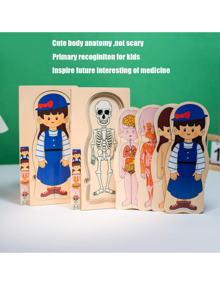 Rompecabezas de Anatomía Infantil de Madera Yunhe 5 Capas