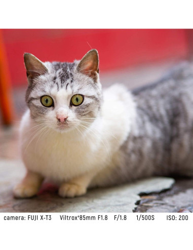 Lente VILTROX 85mm F1.8 STM para cámaras Fuji X-Mount