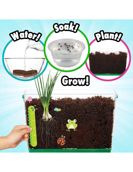 Kit de Jardinería Educativo Miracle GRO - Observador de Raíces