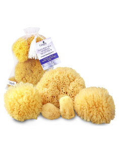 Esponjas Marinas Naturales Constantia Beauty - Set de 5 Piezas
