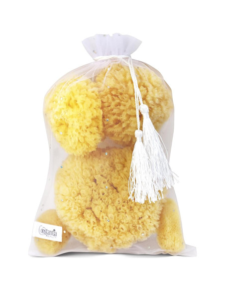 Esponjas Marinas Naturales Constantia Beauty - Set de 5 Piezas