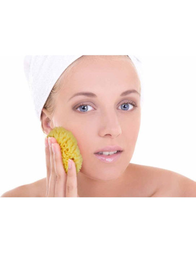 Esponjas Marinas Naturales Constantia Beauty - Set de 5 Piezas