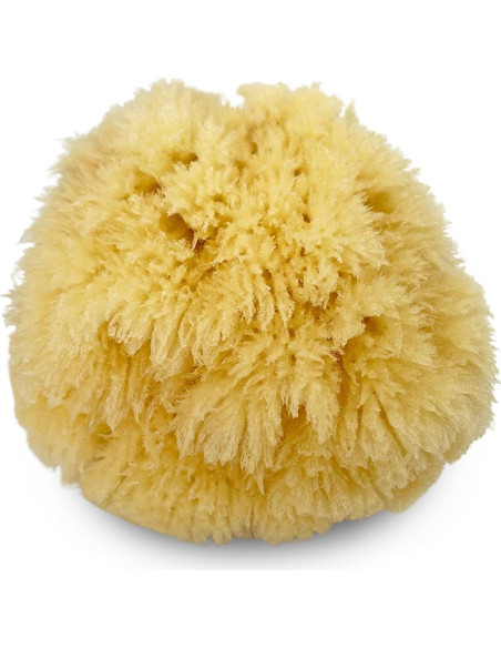 Esponjas Marinas Naturales Constantia Beauty - Set de 5 Piezas