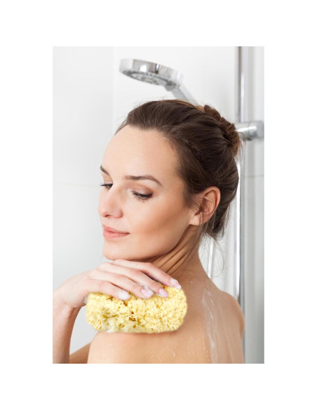 Esponjas Marinas Naturales Constantia Beauty - Set de 5 Piezas