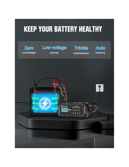 Cargador de Batería Inteligente ECO-WORTHY 10A 12V para Vehículos