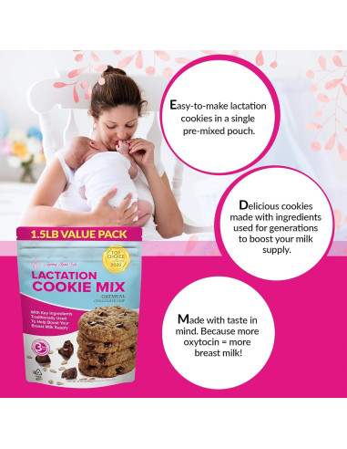 Galletas de Lactancia Mommy Knows Best Avena Chocolate 680g