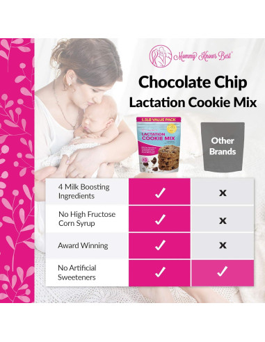 Galletas de Lactancia Mommy Knows Best Avena Chocolate 680g