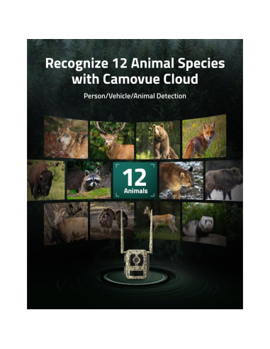 Cámara de Caza 4G LTE Camovue Talon Pro con Batería y SD 64GB