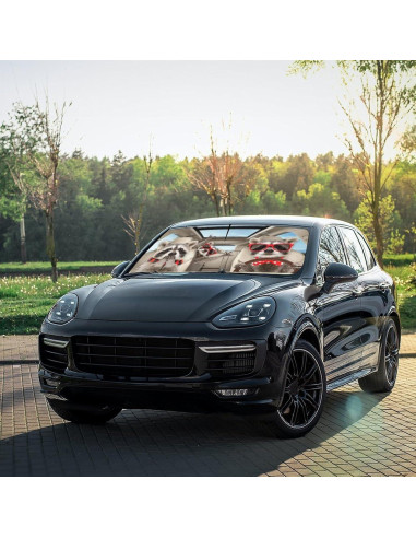 Paraguas para Parabrisas CHILL-TEK Raccoon 145x79cm Plegable