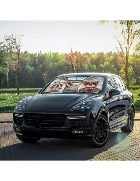 Paraguas para Parabrisas CHILL-TEK Raccoon 145x79cm Plegable