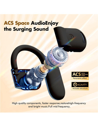 Auriculares de Traducción AI Plubedo Inalámbricos Negro 144 Idiomas