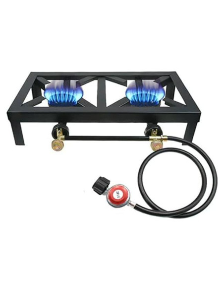 Estufa de Camping DDBESSIC 2 Quemadores Gas Propano 8000W