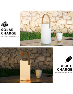 Lámpara de Mesa Solar NiceBuy 2 en 1 RGB IP44 Portátil 2