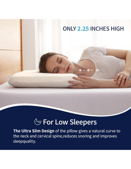 Almohada Plana AMICLIBER de Espuma de Memoria 5.08 cm