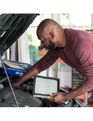 Filtro de Aire PurolatorONE A24690 para Motor Automotriz