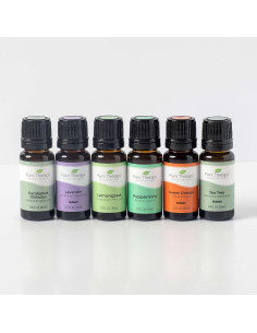 Set de Aceites Esenciales Plant Therapy Breathe Easy 6x10 mL 2