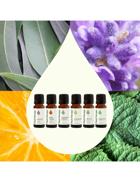 Set de Aceites Esenciales Plant Therapy Breathe Easy 6x10 mL