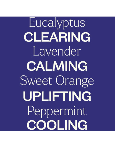 Set de Aceites Esenciales Plant Therapy Breathe Easy 6x10 mL