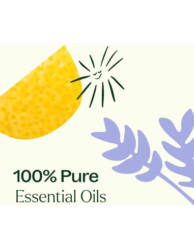 Set de Aceites Esenciales Plant Therapy Breathe Easy 6x10 mL