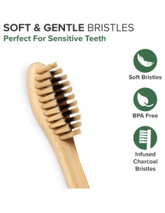 Cepillos de Dientes de Bambú VIVAGO - Suaves y Ecológicos - Paquete de 10 2