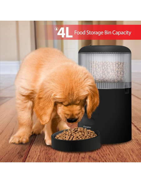 Comedero Inteligente Energizer 4L con Cámara 2K y Wi-Fi