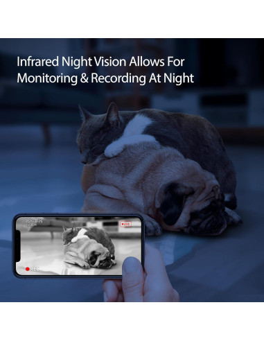 Comedero Inteligente Energizer 4L con Cámara 2K y Wi-Fi