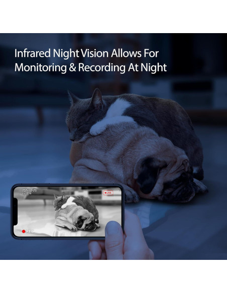 Comedero Inteligente Energizer 4L con Cámara 2K y Wi-Fi